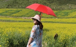 果冻传媒2021精品入口软件